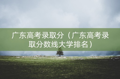 广东高考录取分（广东高考录取分数线大学排名）