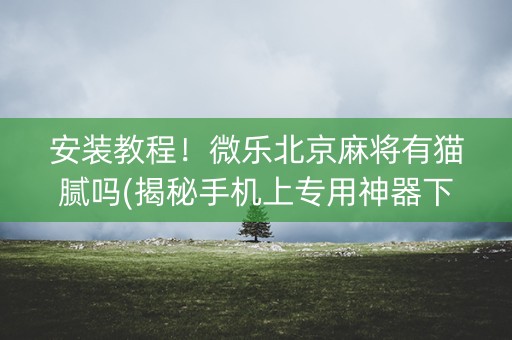 安装教程！微乐北京麻将有猫腻吗(揭秘手机上专用神器下载)