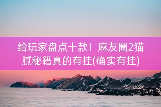 给玩家盘点十款！麻友圈2猫腻秘籍真的有挂(确实有挂)