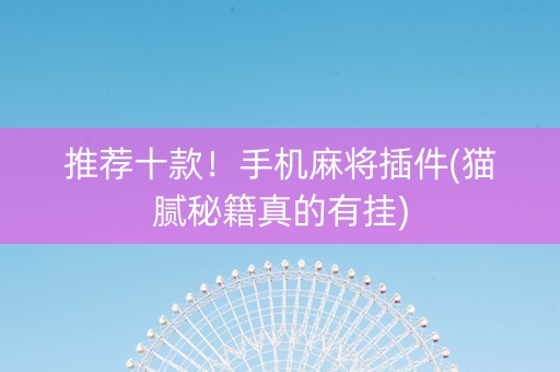 推荐十款！手机麻将插件(猫腻秘籍真的有挂)