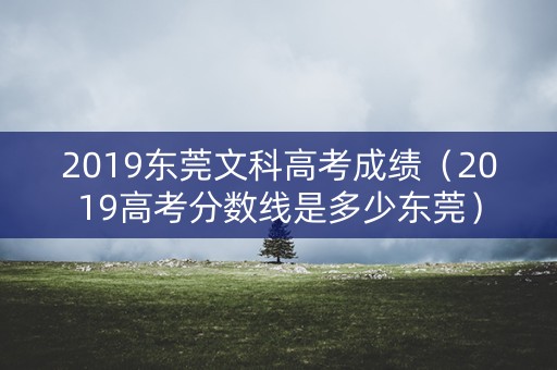 2019东莞文科高考成绩（2019高考分数线是多少东莞）