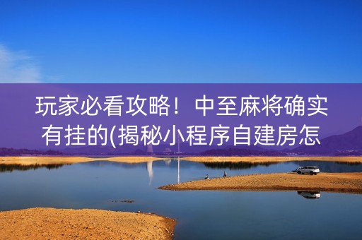 玩家必看攻略！中至麻将确实有挂的(揭秘小程序自建房怎么赢)