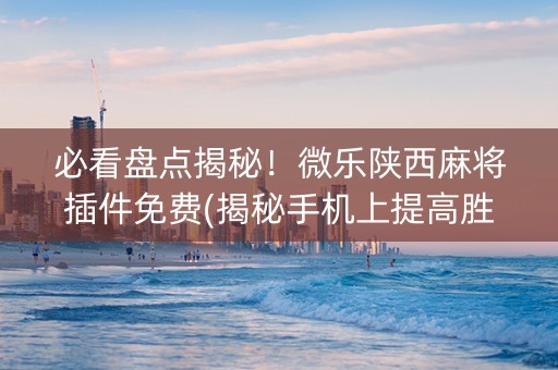 必看盘点揭秘！微乐陕西麻将插件免费(揭秘手机上提高胜率)