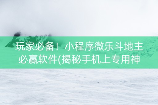 玩家必备！小程序微乐斗地主必赢软件(揭秘手机上专用神器)