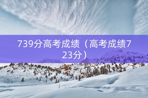 739分高考成绩（高考成绩723分）