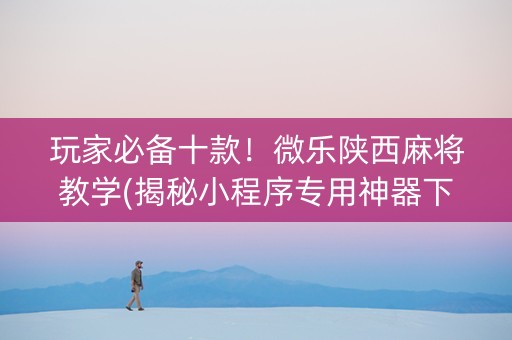 玩家必备十款！微乐陕西麻将教学(揭秘小程序专用神器下载)