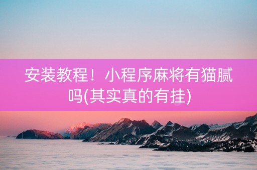 安装教程！小程序麻将有猫腻吗(其实真的有挂)