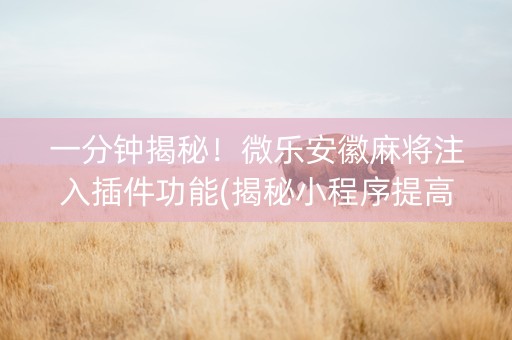 一分钟揭秘！微乐安徽麻将注入插件功能(揭秘小程序提高胜率)