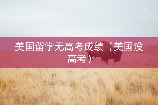 美国留学无高考成绩（美国没高考）
