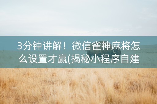 3分钟讲解！微信雀神麻将怎么设置才赢(揭秘小程序自建房怎么赢)