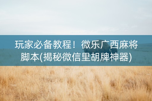 玩家必备教程！微乐广西麻将脚本(揭秘微信里胡牌神器)