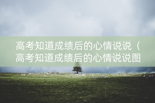 高考知道成绩后的心情说说（高考知道成绩后的心情说说图片）