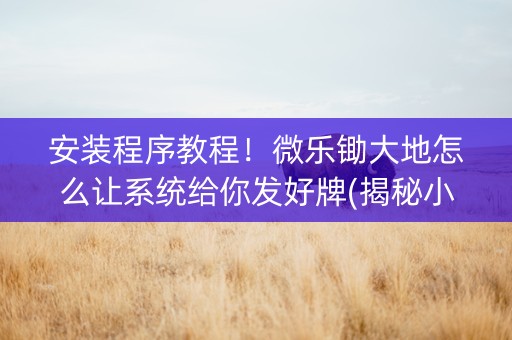 安装程序教程！微乐锄大地怎么让系统给你发好牌(揭秘小程序插件免费)