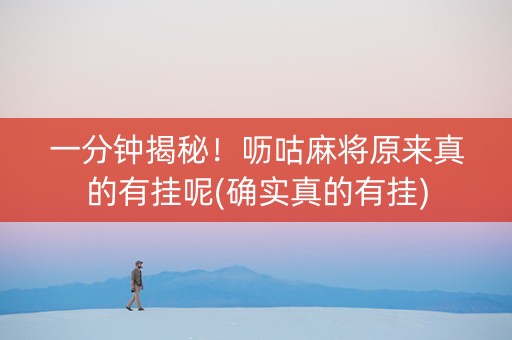 一分钟揭秘！呖咕麻将原来真的有挂呢(确实真的有挂)