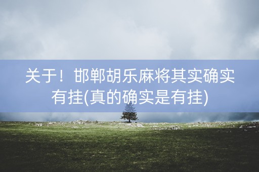 关于！邯郸胡乐麻将其实确实有挂(真的确实是有挂)