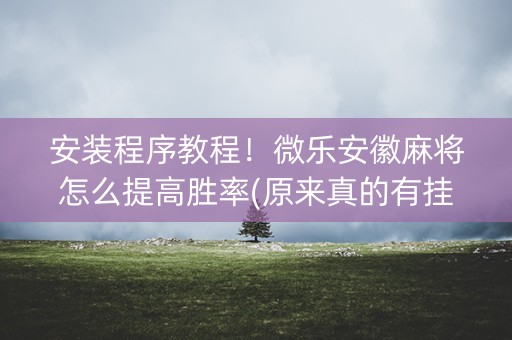 安装程序教程！微乐安徽麻将怎么提高胜率(原来真的有挂呢)