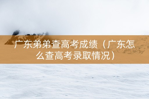广东弟弟查高考成绩（广东怎么查高考录取情况）