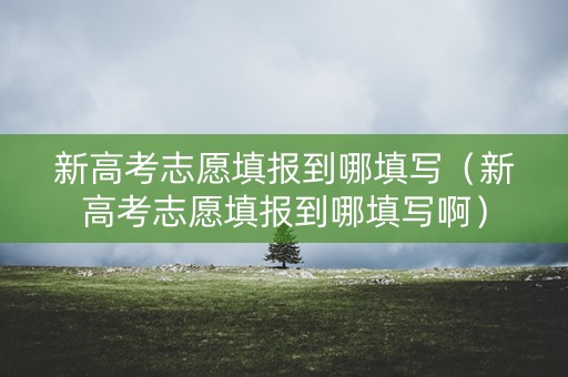 新高考志愿填报到哪填写（新高考志愿填报到哪填写啊）