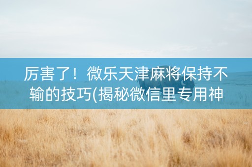 厉害了！微乐天津麻将保持不输的技巧(揭秘微信里专用神器)