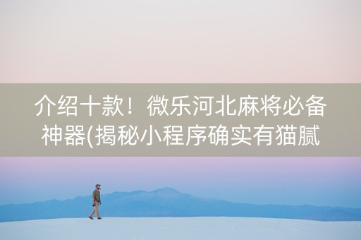 介绍十款！微乐河北麻将必备神器(揭秘小程序确实有猫腻)