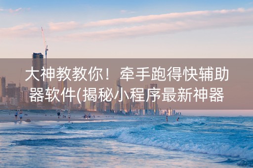 大神教教你！牵手跑得快辅助器软件(揭秘小程序最新神器下载)