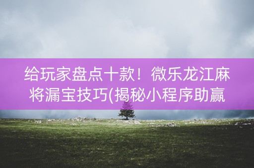 给玩家盘点十款！微乐龙江麻将漏宝技巧(揭秘小程序助赢神器购买)
