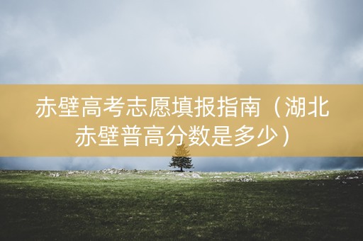 赤壁高考志愿填报指南（湖北赤壁普高分数是多少）