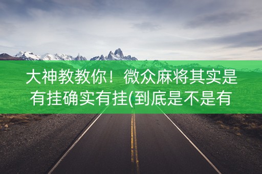 大神教教你！微众麻将其实是有挂确实有挂(到底是不是有挂)
