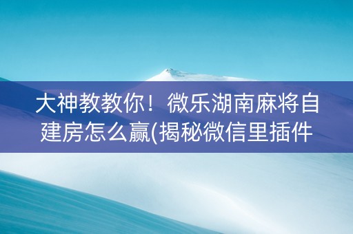 大神教教你！微乐湖南麻将自建房怎么赢(揭秘微信里插件购买)