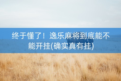 终于懂了！逸乐麻将到底能不能开挂(确实真有挂)