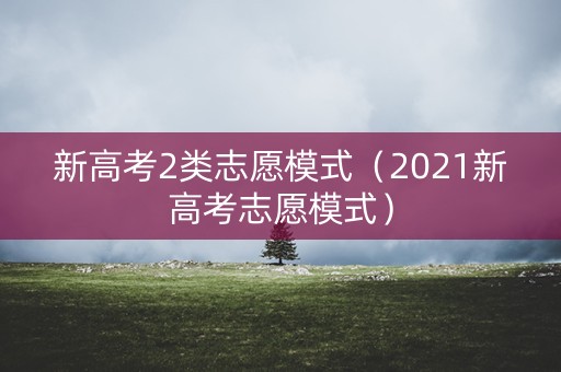 新高考2类志愿模式（2021新高考志愿模式）