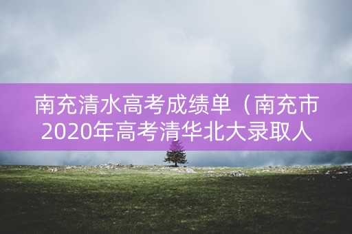 南充清水高考成绩单（南充市2020年高考清华北大录取人数）
