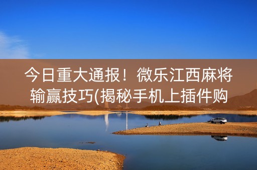 今日重大通报！微乐江西麻将输赢技巧(揭秘手机上插件购买)