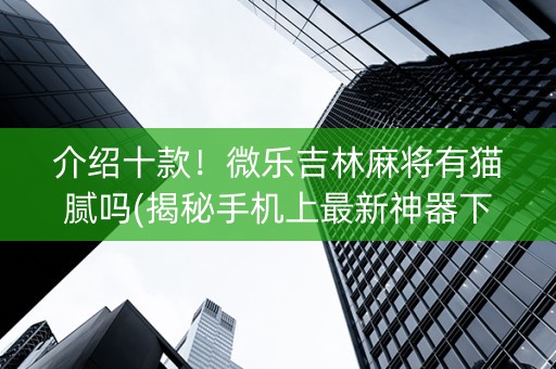 介绍十款！微乐吉林麻将有猫腻吗(揭秘手机上最新神器下载)
