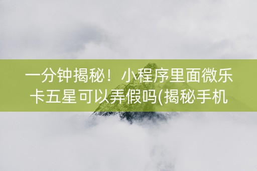一分钟揭秘！小程序里面微乐卡五星可以弄假吗(揭秘手机上插件购买)