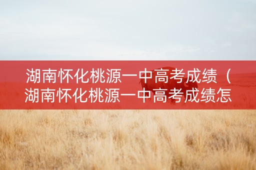 湖南怀化桃源一中高考成绩（湖南怀化桃源一中高考成绩怎么样）