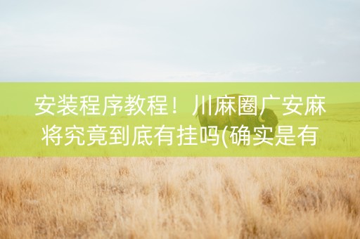安装程序教程！川麻圈广安麻将究竟到底有挂吗(确实是有挂)