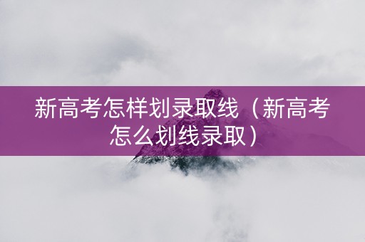 新高考怎样划录取线（新高考怎么划线录取）
