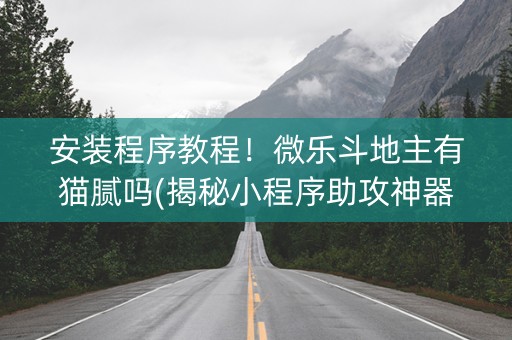 安装程序教程！微乐斗地主有猫腻吗(揭秘小程序助攻神器)
