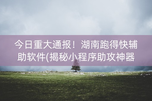 今日重大通报！湖南跑得快辅助软件(揭秘小程序助攻神器)