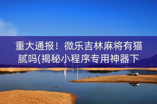 重大通报！微乐吉林麻将有猫腻吗(揭秘小程序专用神器下载)