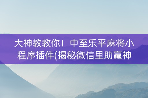 大神教教你！中至乐平麻将小程序插件(揭秘微信里助赢神器购买)