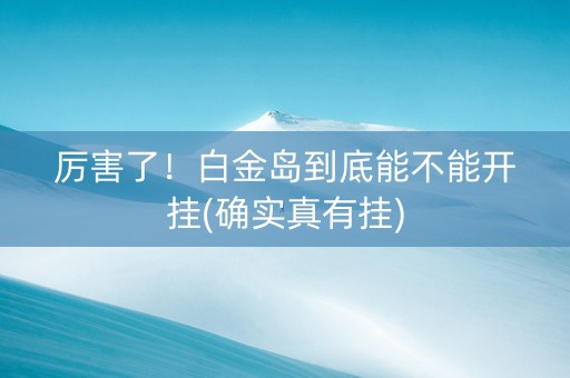 厉害了！白金岛到底能不能开挂(确实真有挂)