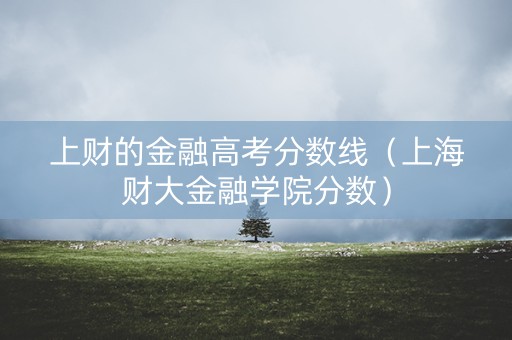 上财的金融高考分数线（上海财大金融学院分数）