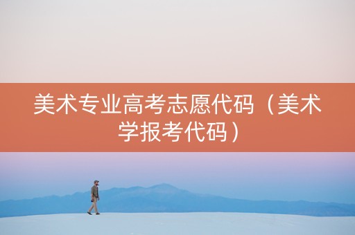 美术专业高考志愿代码（美术学报考代码）