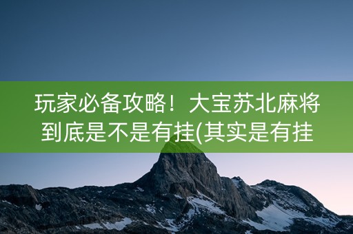 玩家必备攻略！大宝苏北麻将到底是不是有挂(其实是有挂的)