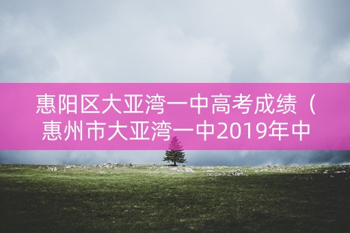 惠阳区大亚湾一中高考成绩（惠州市大亚湾一中2019年中考录取分）
