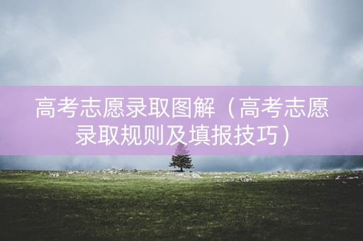 高考志愿录取图解（高考志愿录取规则及填报技巧）