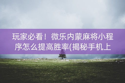 玩家必看！微乐内蒙麻将小程序怎么提高胜率(揭秘手机上提高胜率)