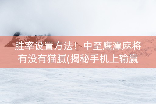 胜率设置方法！中至鹰潭麻将有没有猫腻(揭秘手机上输赢技巧)